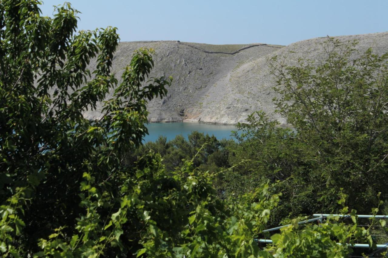 Family Friendly Seaside Apartments Vlasici, Pag - 4319 Exteriér fotografie